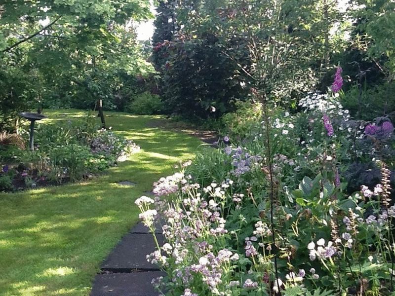 Lawn looking up the garden