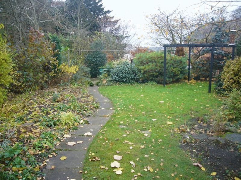 Lawn looking down the garden