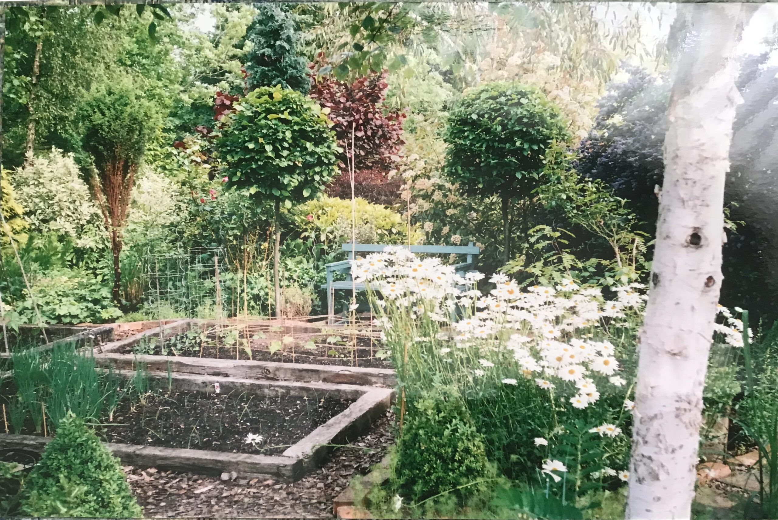 The raised beds area as left by "Owner 5" in September 2004