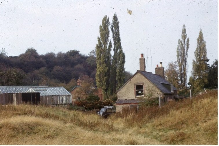 The large greenhouses erected by Bernard Bradshaw 