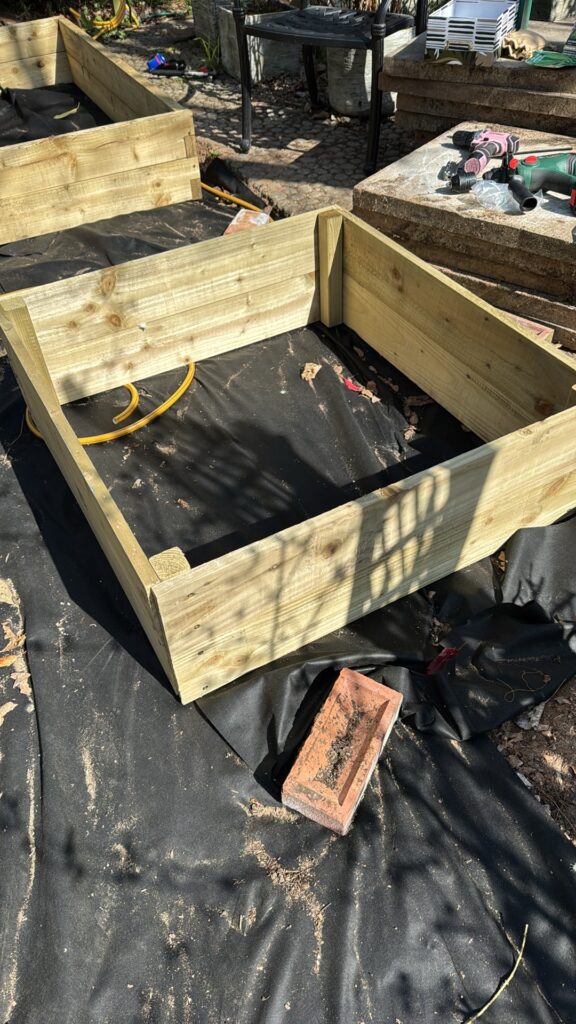 The 2 new 1m x 1m beds built