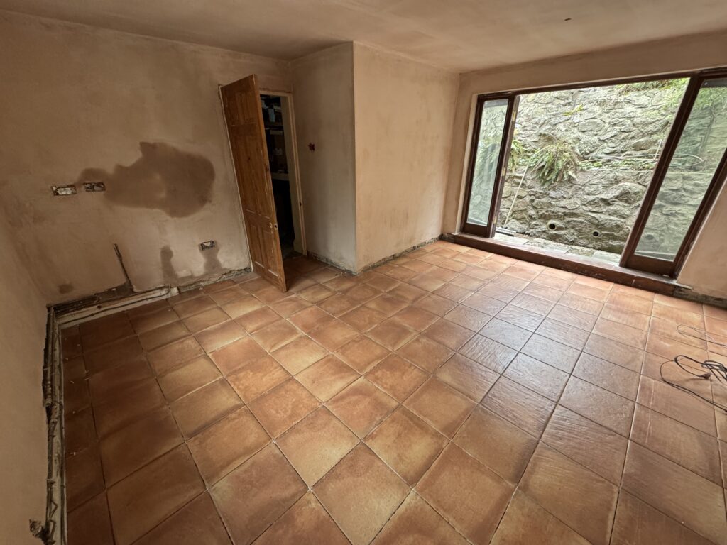 Looking toward the back of the house