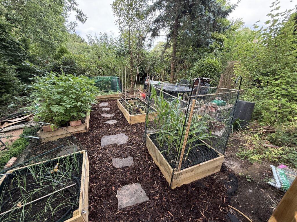 Bark chippings laid to finish off the area
