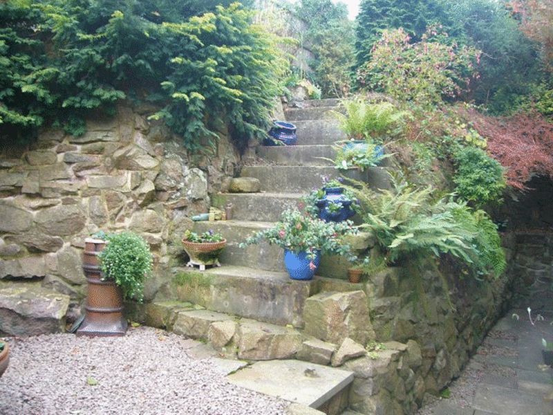 Steps to upper back garden