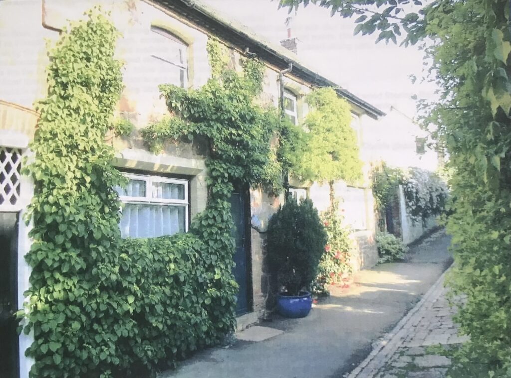 2004, taken by Owner#5 just prior to moving out