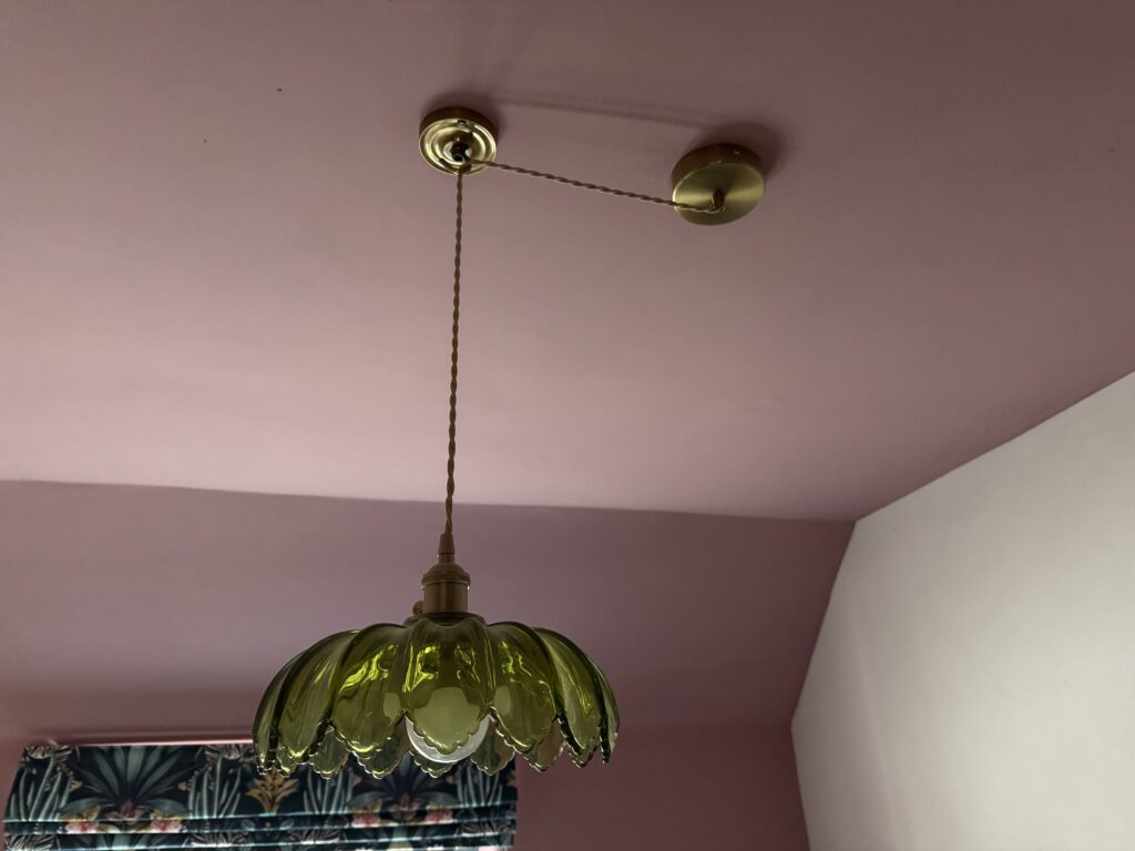 The ceiling rose and hook with Amazon lamp fitting