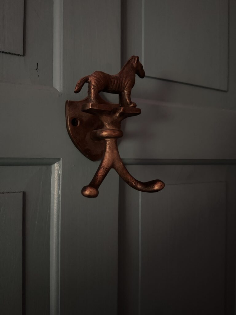 Close up of the cute zebra coat hook