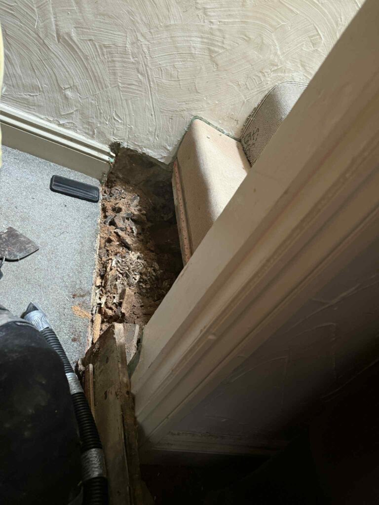 Bare earth under the stairs